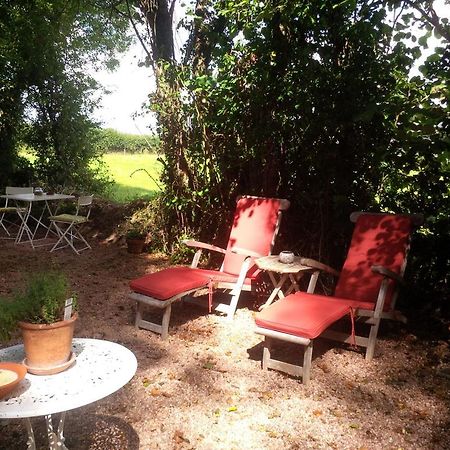 דירות Little Torrington The Potting Shed מראה חיצוני תמונה