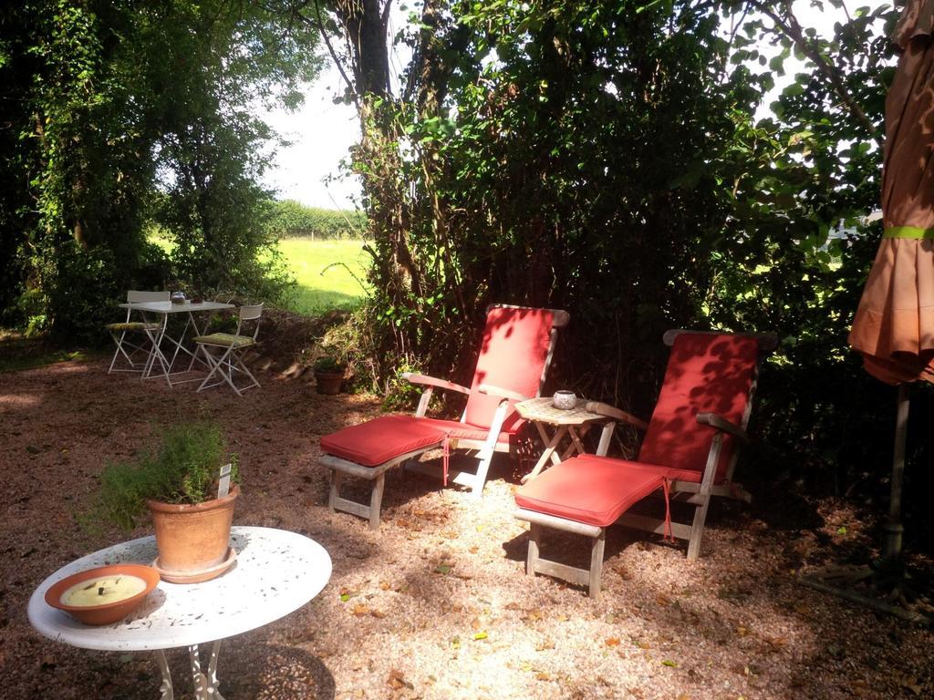 דירות Little Torrington The Potting Shed מראה חיצוני תמונה