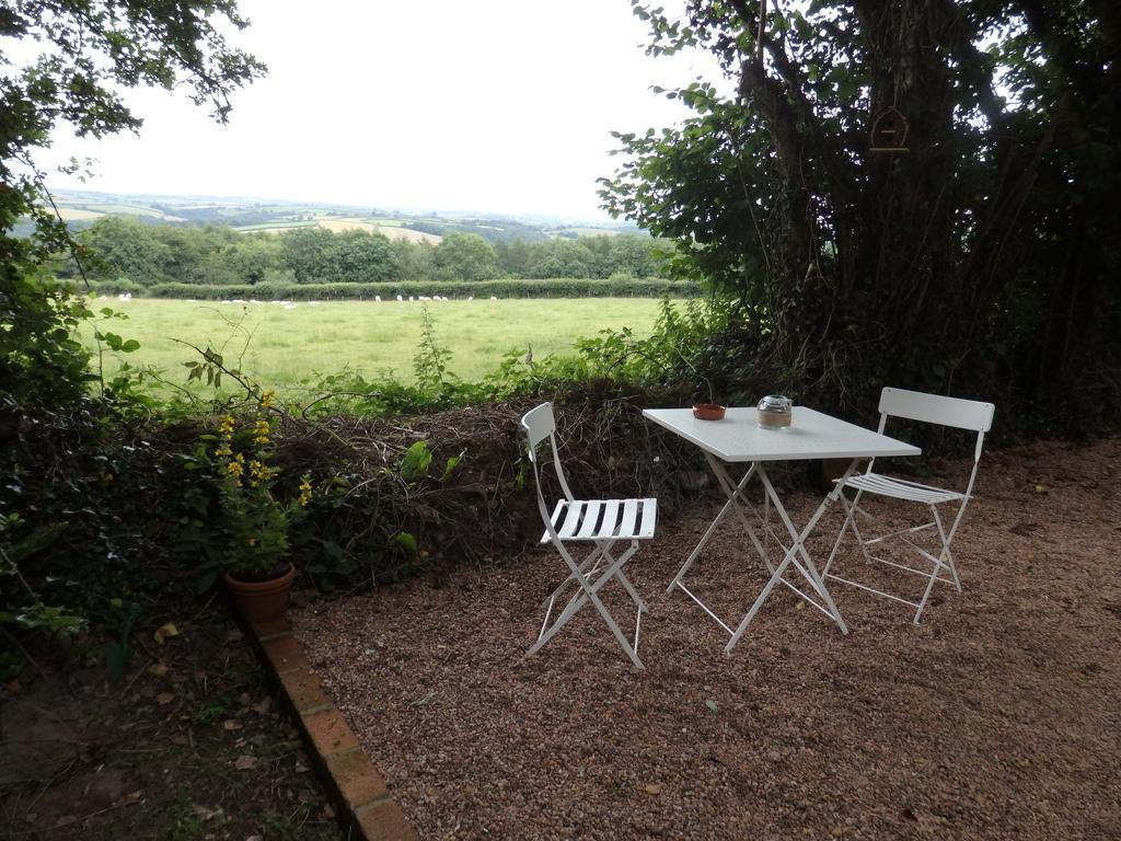 דירות Little Torrington The Potting Shed מראה חיצוני תמונה
